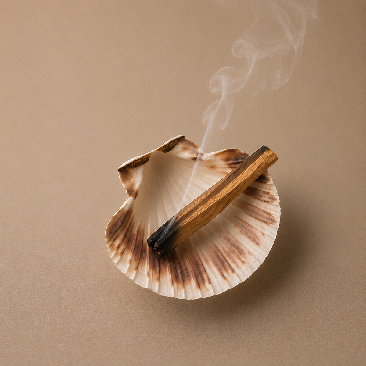 Peruvian Palo Santo Bundle with Shell Burner